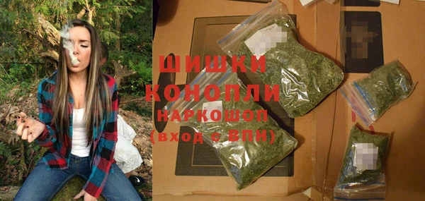 2c-b Каменка