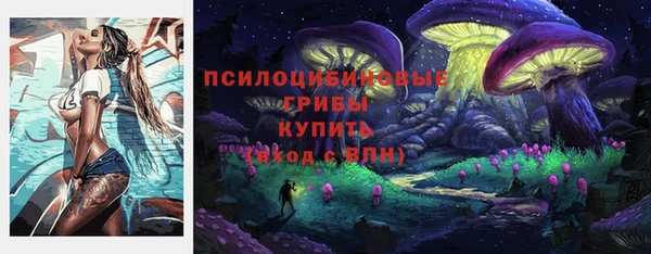 скорость Каменногорск