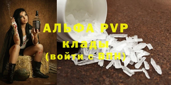 скорость Каменногорск
