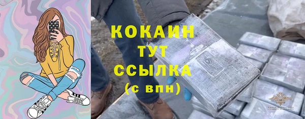 2c-b Каменка