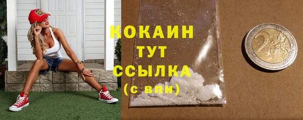 скорость Каменногорск